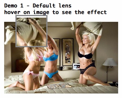 Lens Effect Image Zooming - demo image